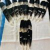 harrier-hawk-feather.jpg.