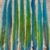 Macaw Feathers